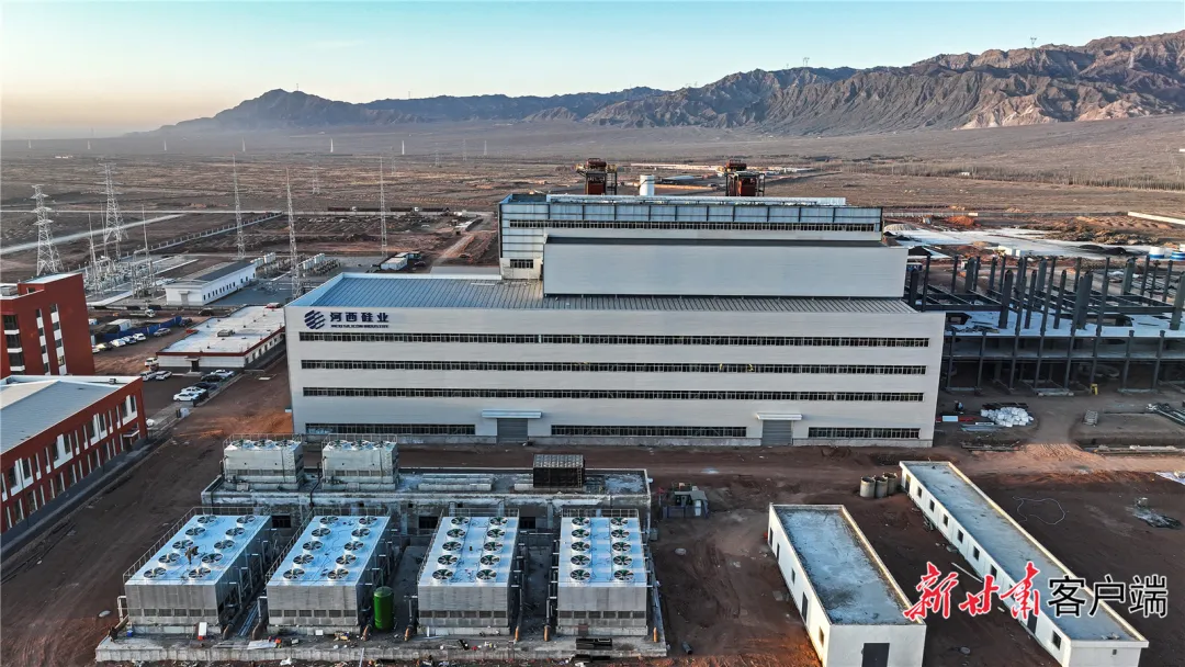 FZ100440123005_A5063921 图片