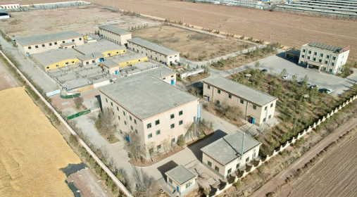 张掖经开区：中水“变废为宝” “解渴”生态绿林