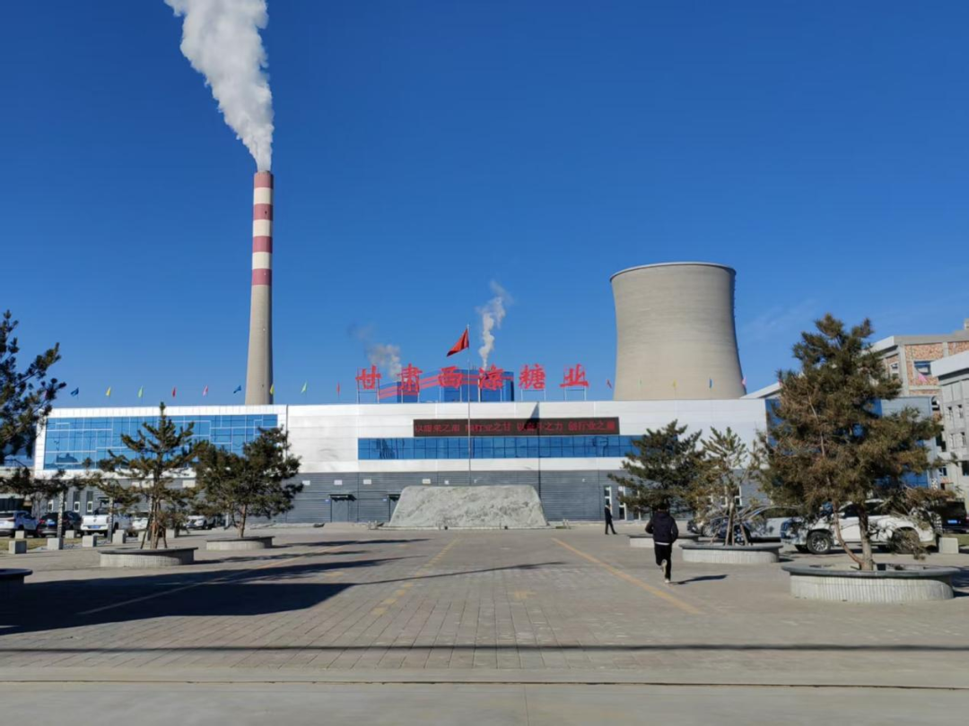 凉州区：制糖项目建设全速推进“甜蜜引擎”驱动产业升级