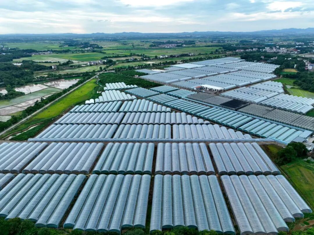 我市首个省级农业高新技术产业示范区获批设立