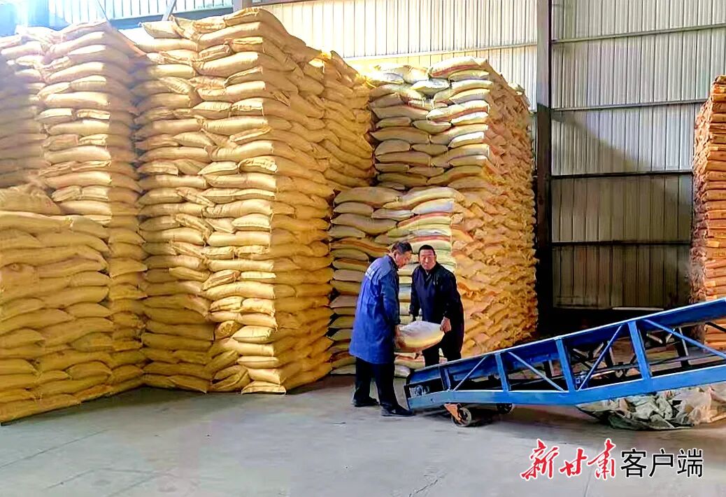 FZ007247073167_A5596583 图片