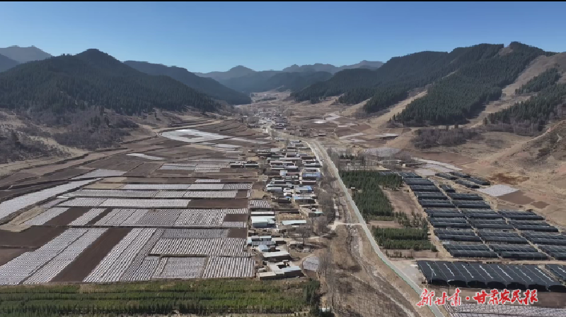 天祝：旱地生“金”绘就振兴新图景