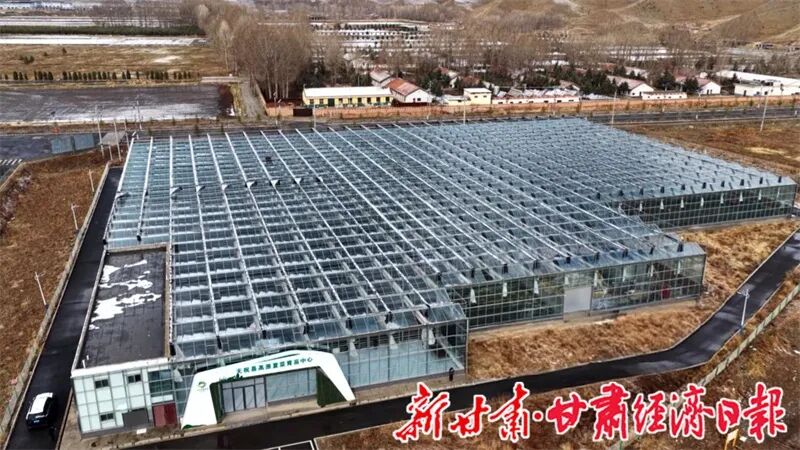 Yes(县域)天祝:以种苗为基 绘就特色(48094085)-20260424095846_副本 图片