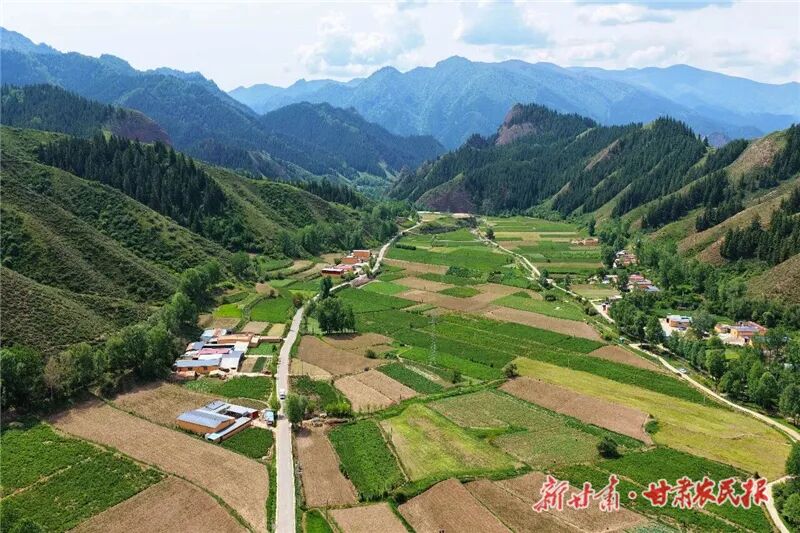 王开珍1 图片