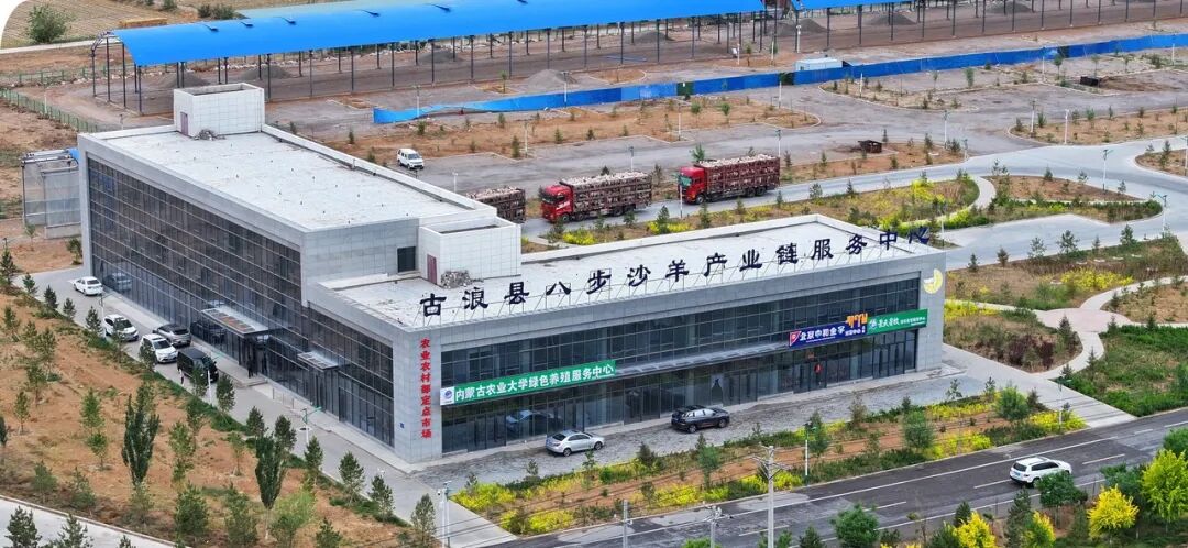 【中央媒体看古浪】工人日报 || 从治沙播绿到育羊兴家：甘肃古浪以肉羊产业续写八步沙精神时代新篇