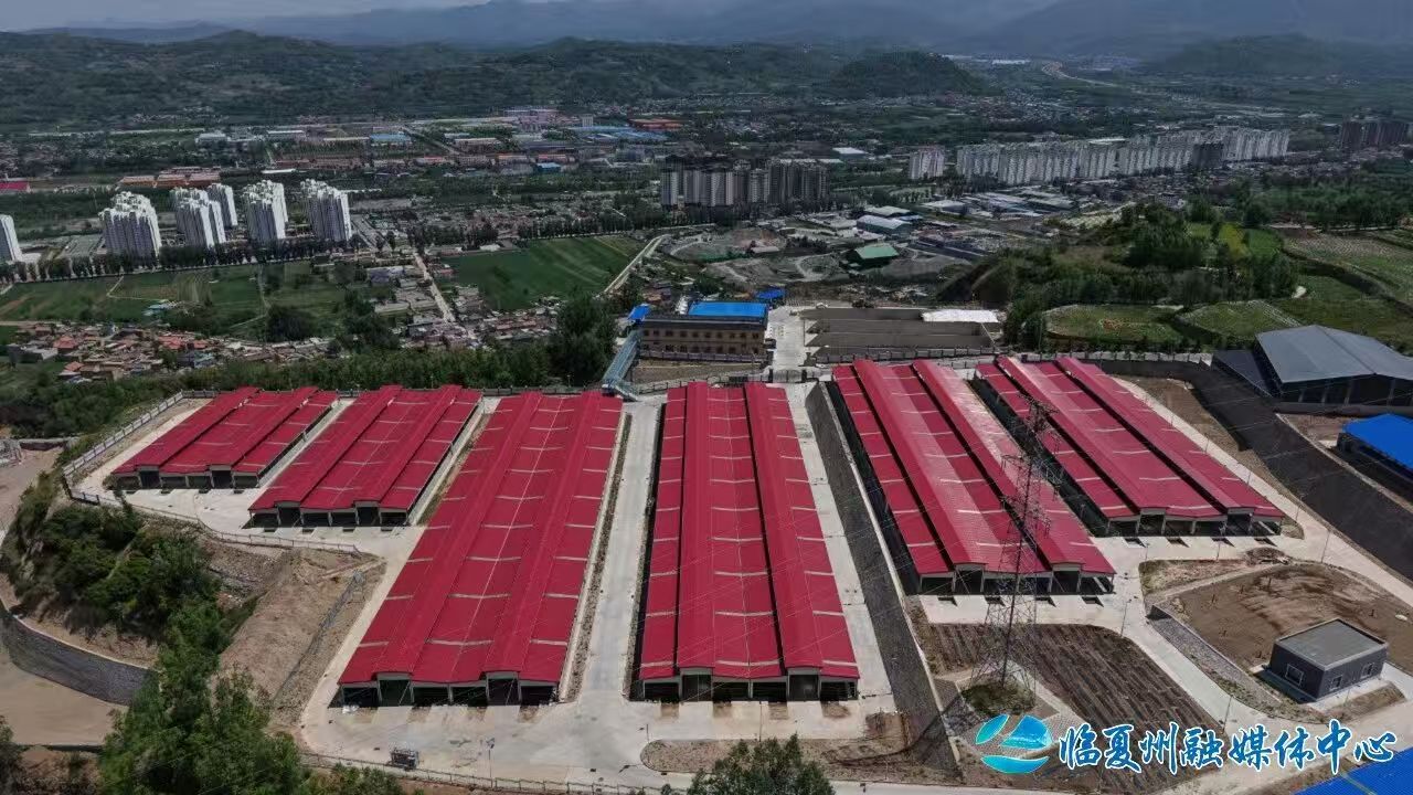 临夏县：牛羊全产业链成富民强县“新引擎”