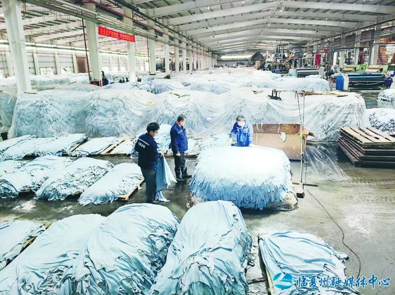 广河县国富皮革：从起步到标杆的领航成长之路