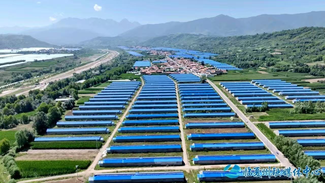 大棚育生机 菜香富万家——临夏县大力发展蔬菜产业见闻