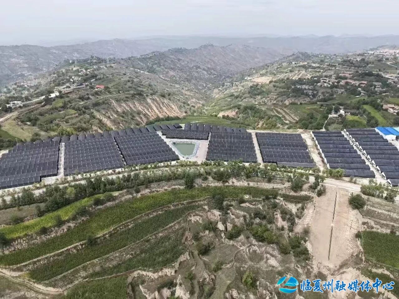 百座大棚菇飘香