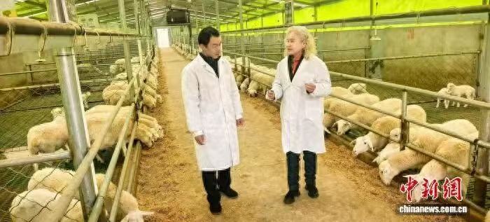 全国人大代表尹建敏和她的“羊”气事业