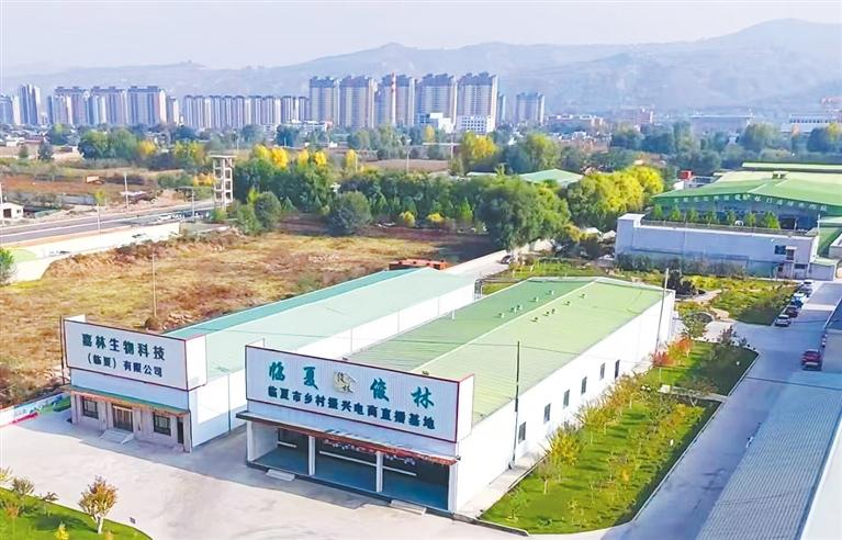 产业延链提质　助农共富增收——临夏市俊林肉制品公司深耕特色产业赋能高质量发展