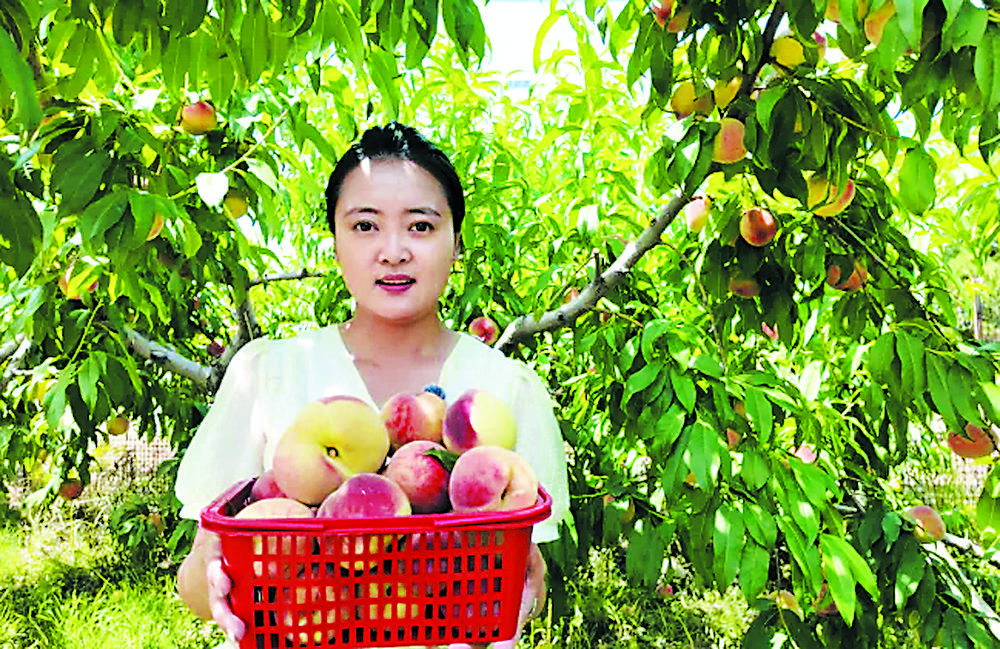 东乡县:田园果香促振兴