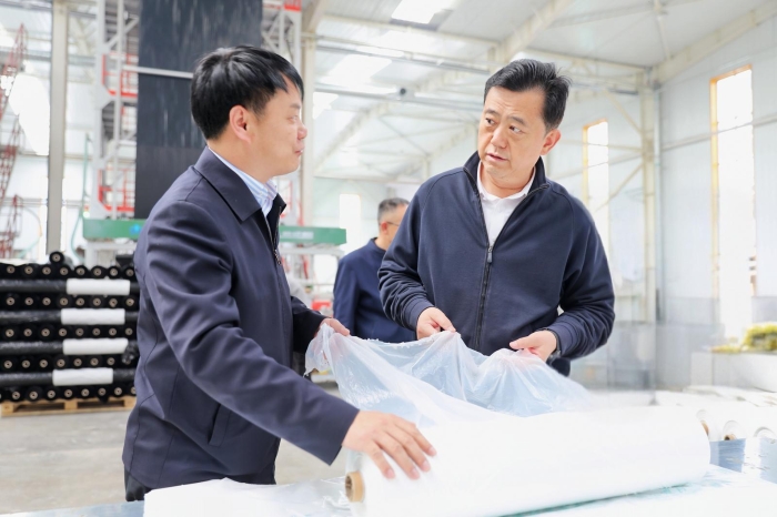 武和谦调研督导项目建设、工业经济、春耕生产等工作