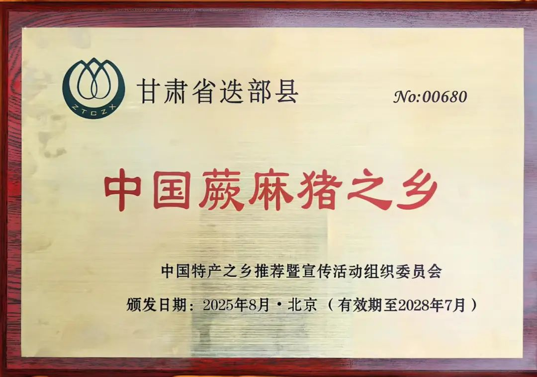 国家级认证！迭部县是“中国蕨麻猪之乡”啦！